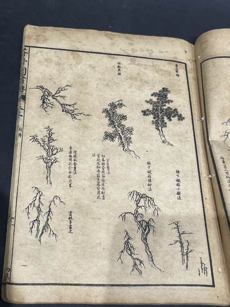 老书 - 图6