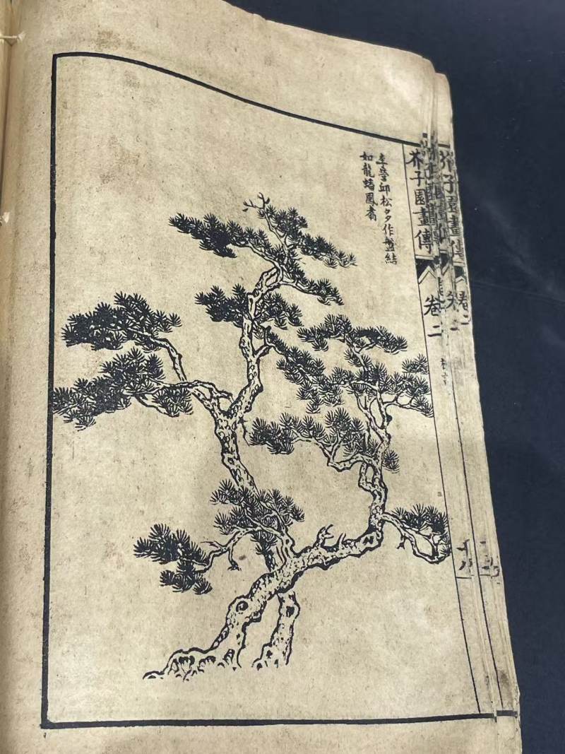 老书 - 图8
