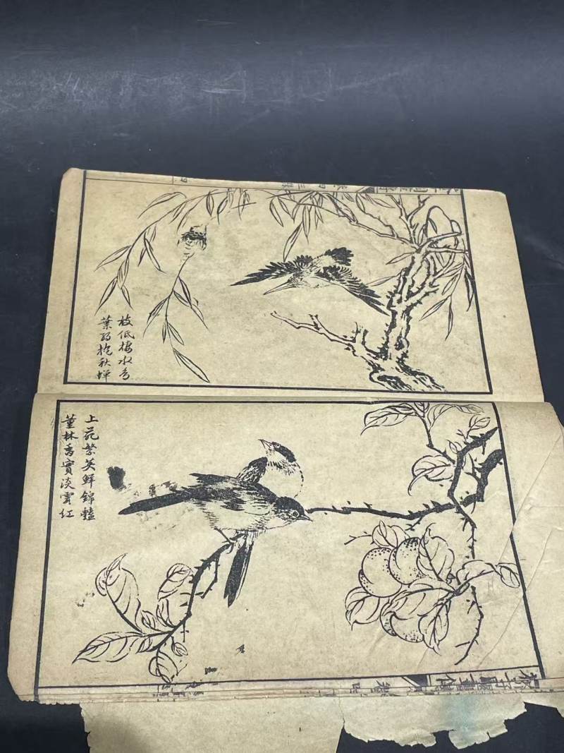 老书 - 图5