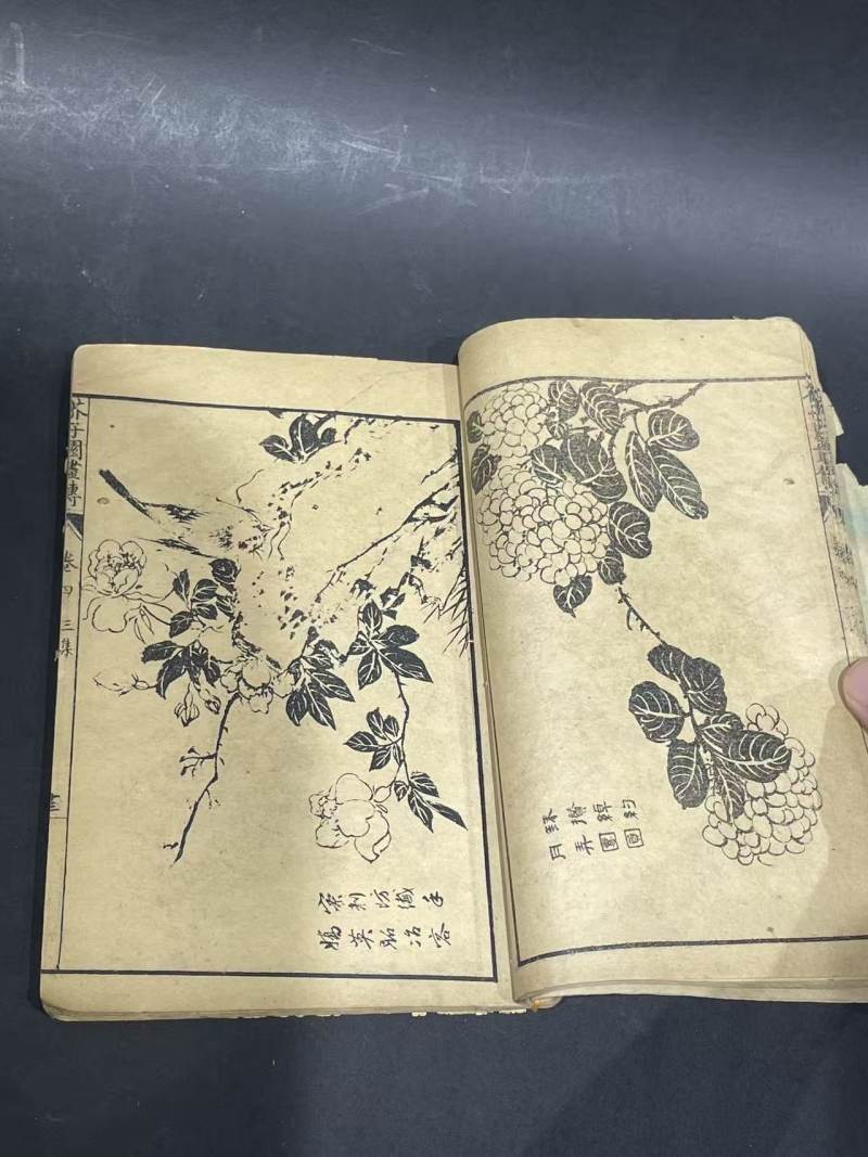 老书 - 图6