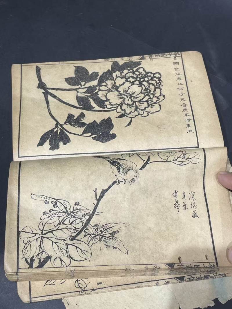 老书 - 图9