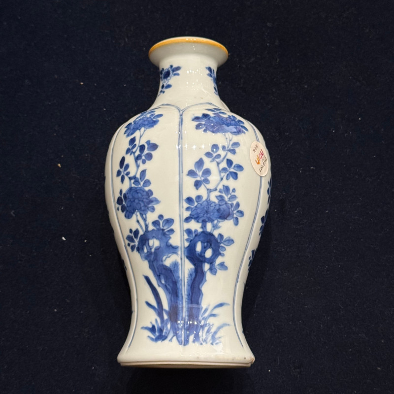清康熙 青花花卉纹瓶 - 图8