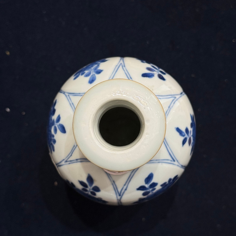 清康熙 青花花卉纹瓶 - 图10