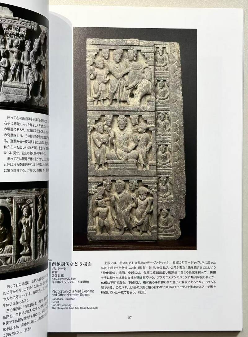 2007年 日本《键陀罗美术与巴米扬遗迹展》 - 图12