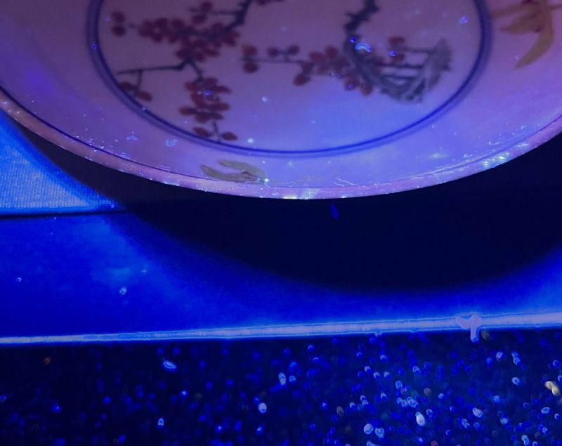 清光绪 粉彩梅花纹盘 - 图9