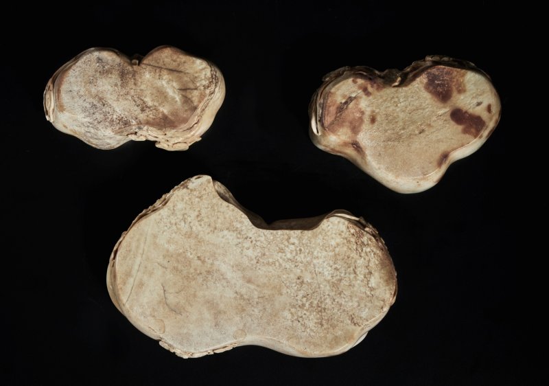 十七 / 十八世紀 雞骨白玉雕瑞芝洗一組三件 - 图5