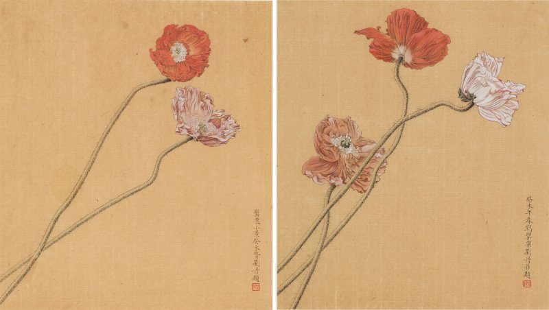 劉丹 罌粟花兩幅 設色紙本 鏡框