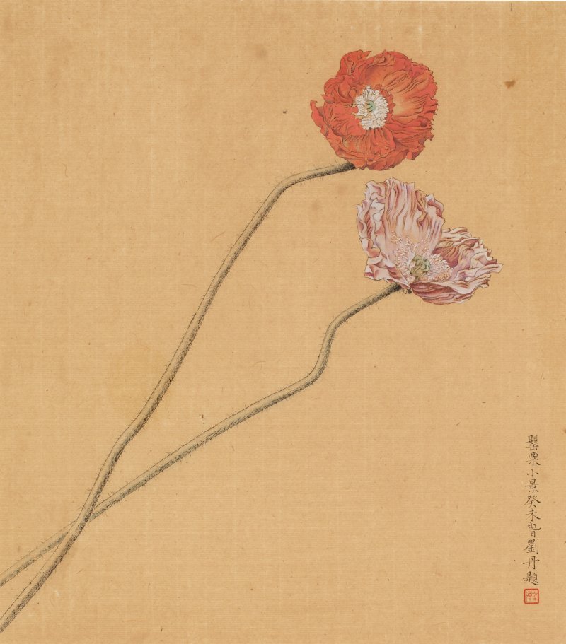 劉丹 罌粟花兩幅 設色紙本 鏡框 - 图2