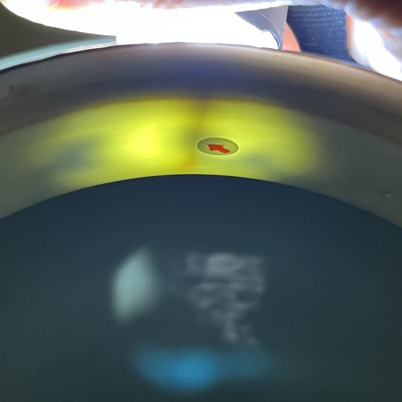 清光绪青花人物故事将军罐 - 图18