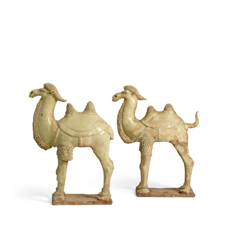 唐 草灰釉陶駱駝一對 | A PAIR OF STRAW-GLAZED POTTERY CAMELS - 图6