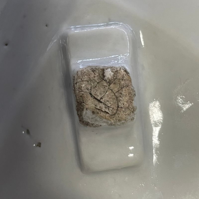 清道光 青花岁寒三友扇形盖盒 - 图25