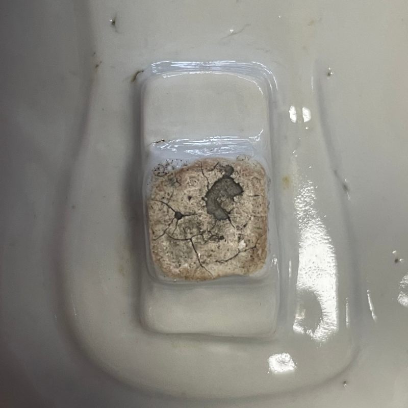 清道光 青花岁寒三友扇形盖盒 - 图27