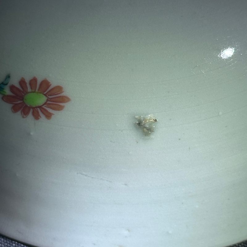 清中期 粉彩花卉纹碗 - 图14