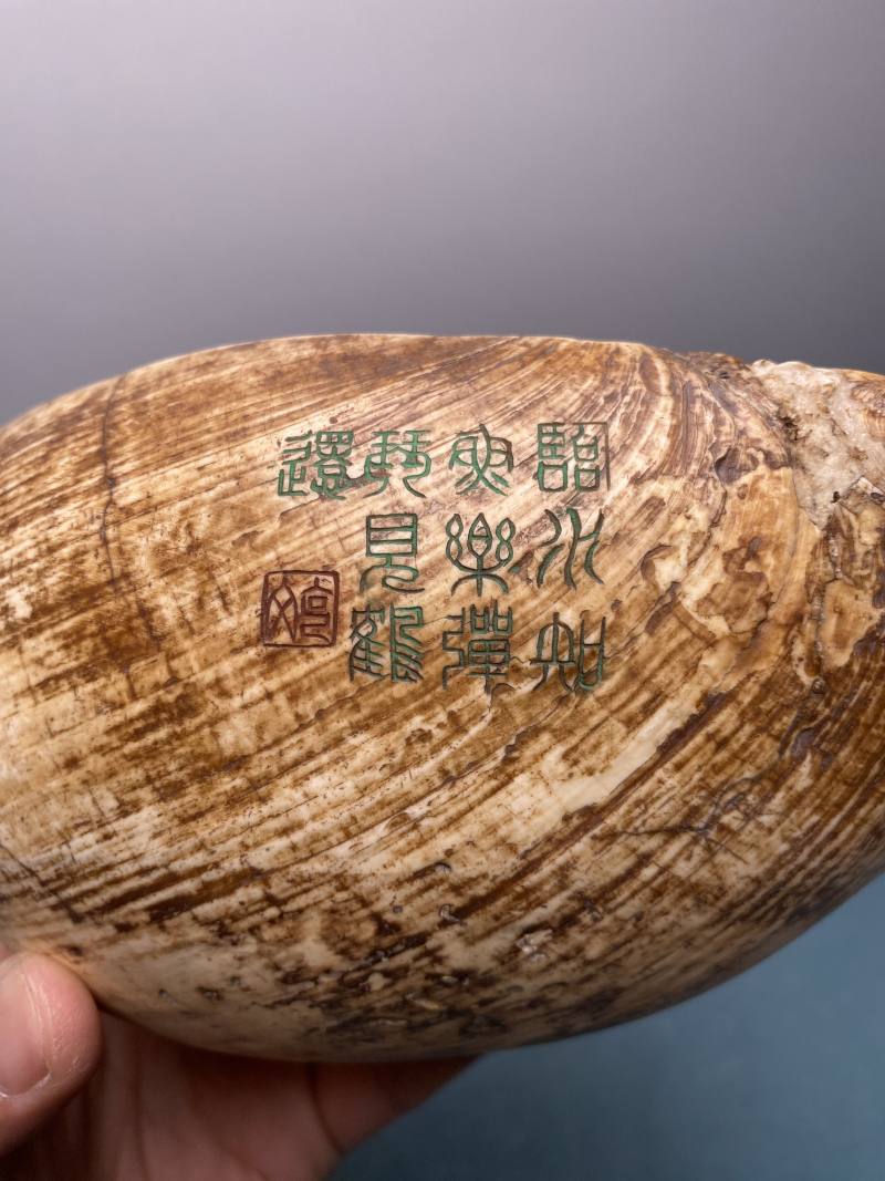 民国 袁克文铭古海螺钵 - 图13