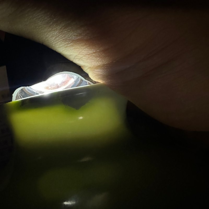 清乾隆 豆青釉象耳衔环尊 - 图10