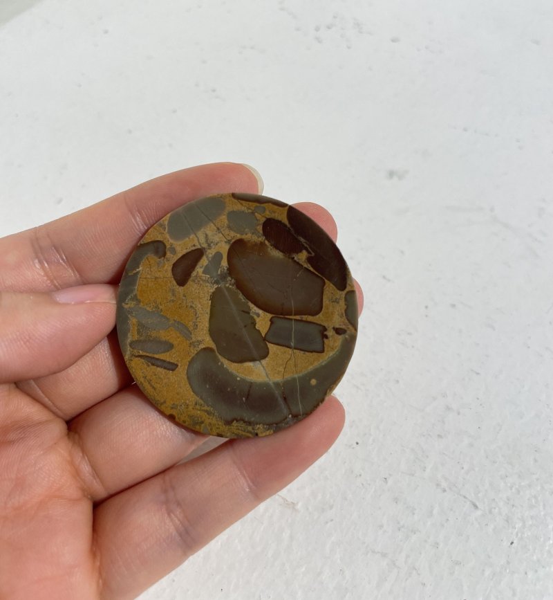 （壺）十八/十九世紀 抱子石素面鼻煙壺及煙碟 | A PUDDINGSTONE SNUFF BOTTLE AND A SNUFF DISH - 图3