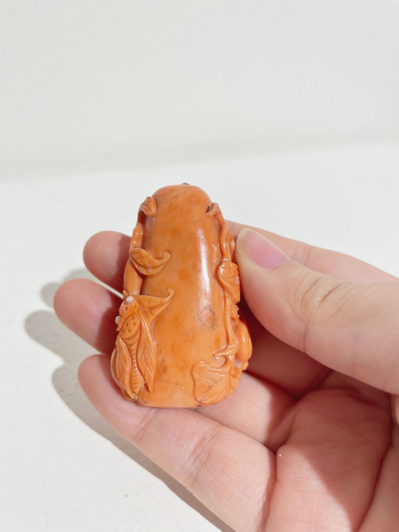 十九世紀 珊瑚鳴蟬瓜葉紋鼻煙壺 鳴蟬隨白芯點睛 | A CORAL 'CICADA AND MELON' SNUFF BOTTLE - 图7