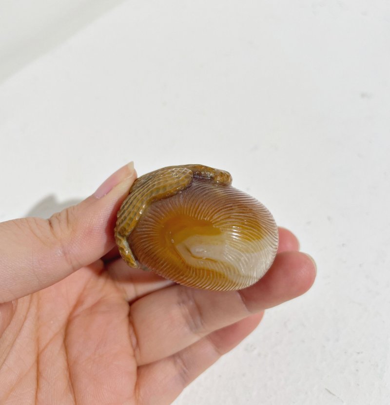 十九世紀 瑪瑙巧雕⌈花生·棗⌋鼻煙壺、紫水晶蓋 | AN AGATE 'JUJUBE AND PEANUT' SNUFF BOTTLE - 图13