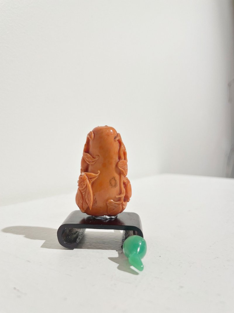 十九世紀 珊瑚鳴蟬瓜葉紋鼻煙壺 鳴蟬隨白芯點睛 | A CORAL 'CICADA AND MELON' SNUFF BOTTLE - 图9