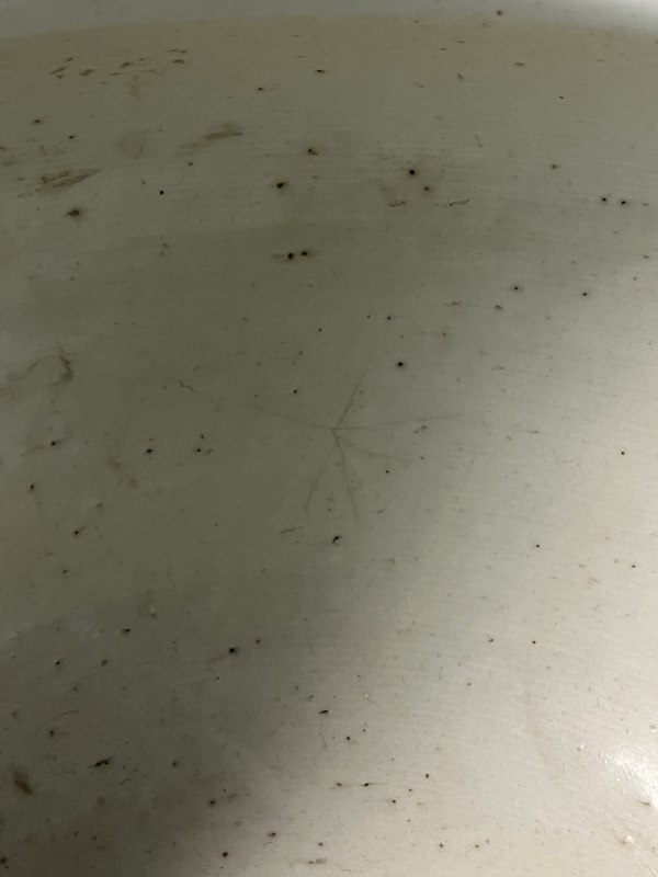 晚清 豆青釉青花开窗笔洗 - 图11
