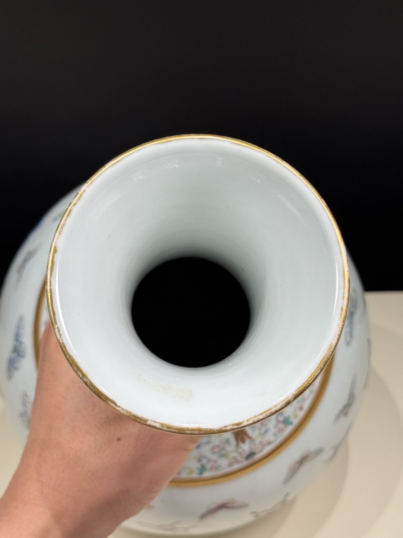 清光绪 粉彩百蝶图赏瓶 - 图20