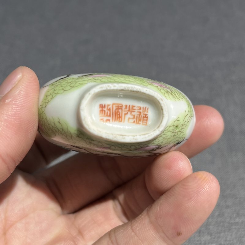 清道光粉彩虫趣图鼻烟壶 - 图10