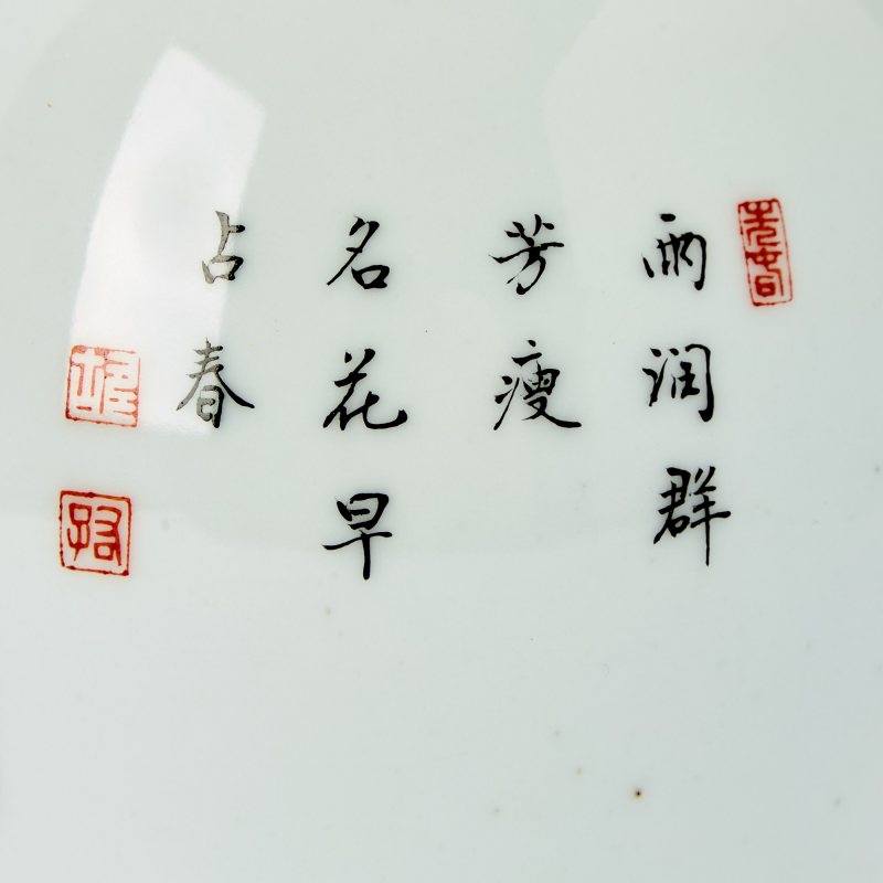 A Chinese Enameled Porcelain Bottle Vase - 图4