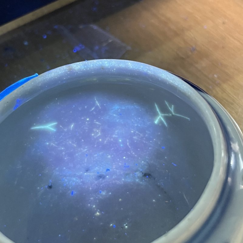 清青花狮子水呈 - 图8