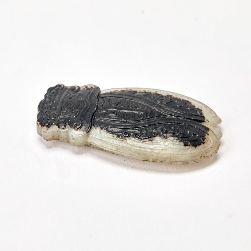 A Chinese Celadon and Black Jade Figure of a Cicada