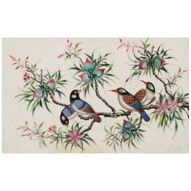 廣東畫派　珍禽異卉圖　水彩通草紙　手繪玻璃鏡畫鏡框八幅　十九世紀 | ANONYMOUS, GUANGDONG SCHOOL, (19th CENTURY) - 图19