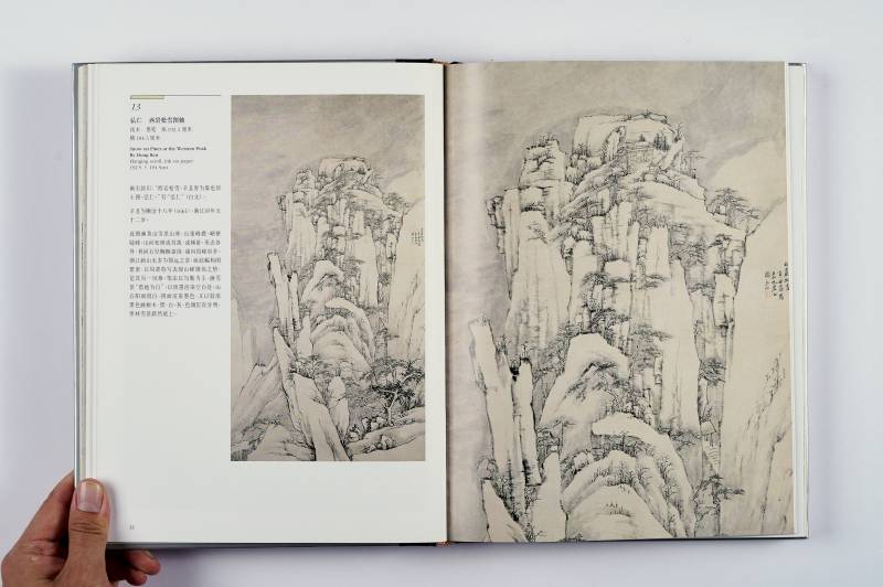 《四僧绘画》（故宫博物院藏文物珍品大系） - 图5