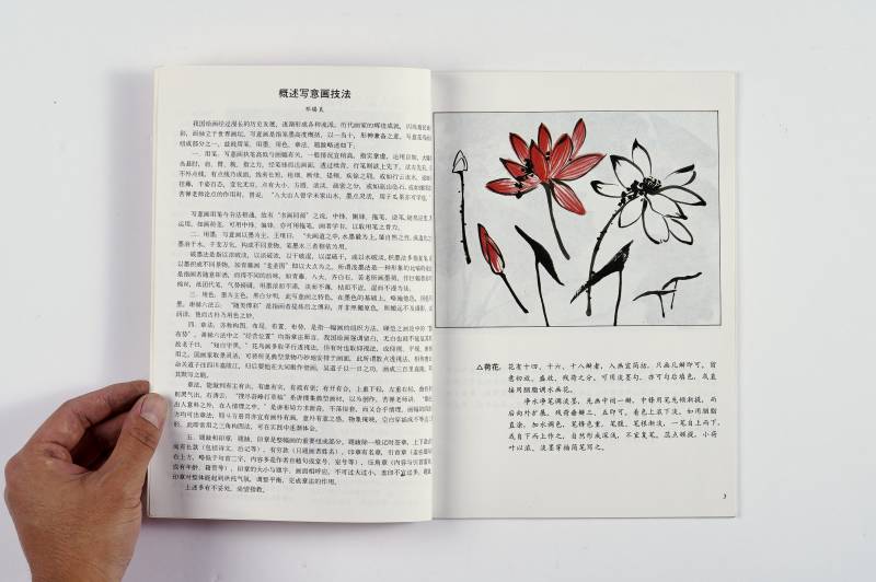《美术丛书》及散册一组（7册） - 图4