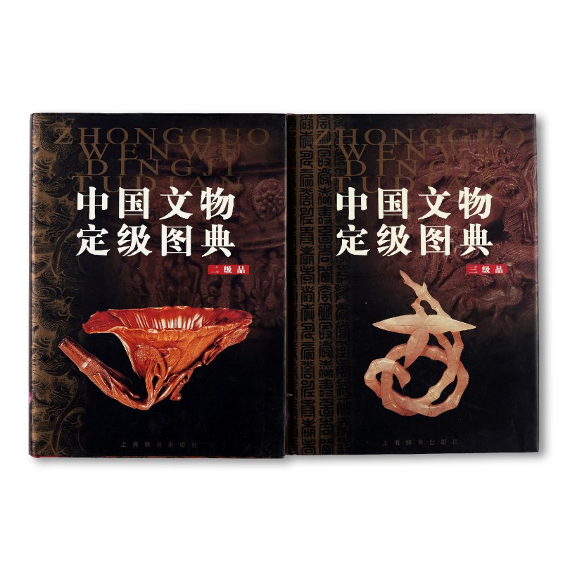 《中国文物定级图典》上下卷全套