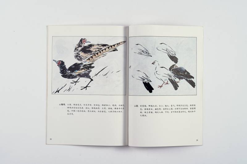 《美术丛书》及散册一组（7册） - 图5
