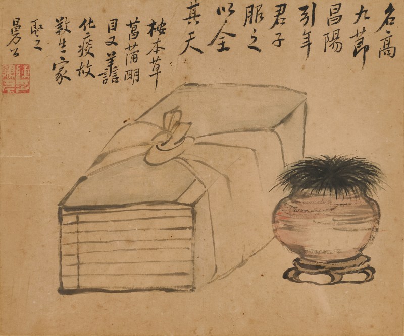 陈曼生  《菖蒲图》