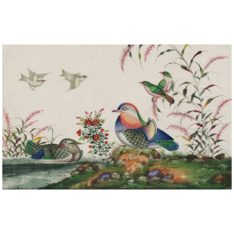 廣東畫派　珍禽異卉圖　水彩通草紙　手繪玻璃鏡畫鏡框八幅　十九世紀 | ANONYMOUS, GUANGDONG SCHOOL, (19th CENTURY) - 图25