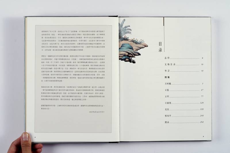 《四王吴恽绘画》（故宫博物院藏文物珍品大系） - 图2