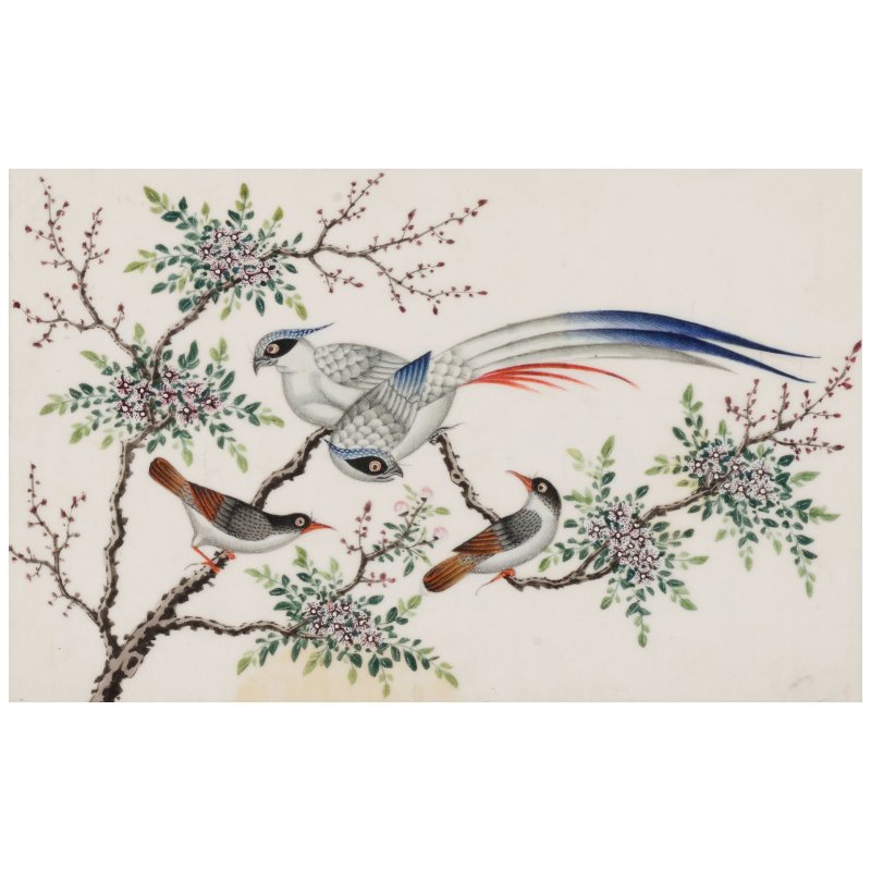 廣東畫派　珍禽異卉圖　水彩通草紙　手繪玻璃鏡畫鏡框八幅　十九世紀 | ANONYMOUS, GUANGDONG SCHOOL, (19th CENTURY) - 图31