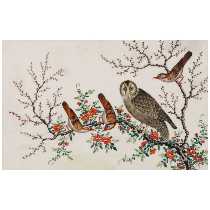廣東畫派　珍禽異卉圖　水彩通草紙　手繪玻璃鏡畫鏡框八幅　十九世紀 | ANONYMOUS, GUANGDONG SCHOOL, (19th CENTURY) - 图12