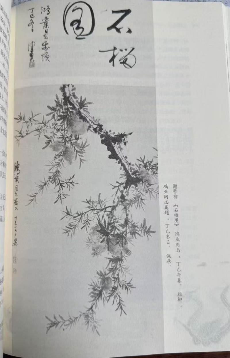 谢稚柳 1977年作 《多子图》 - 图7
