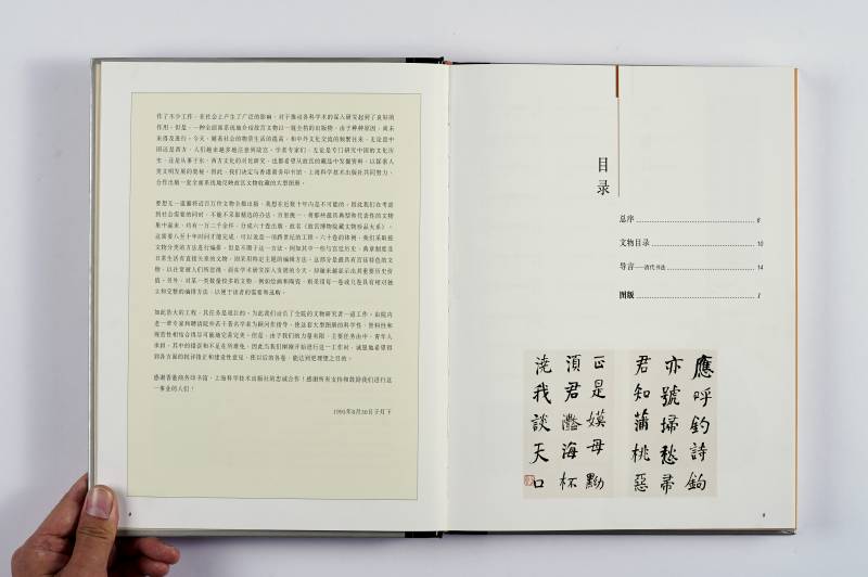 《清代书法》（故宫博物院藏文物珍品大系） - 图2