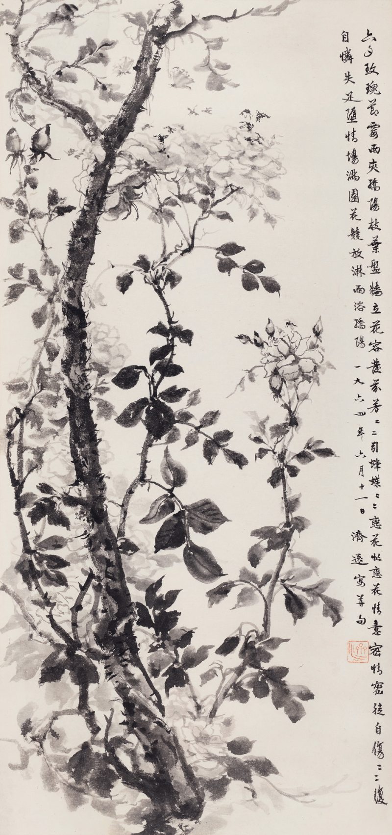1964年作 玫瑰图