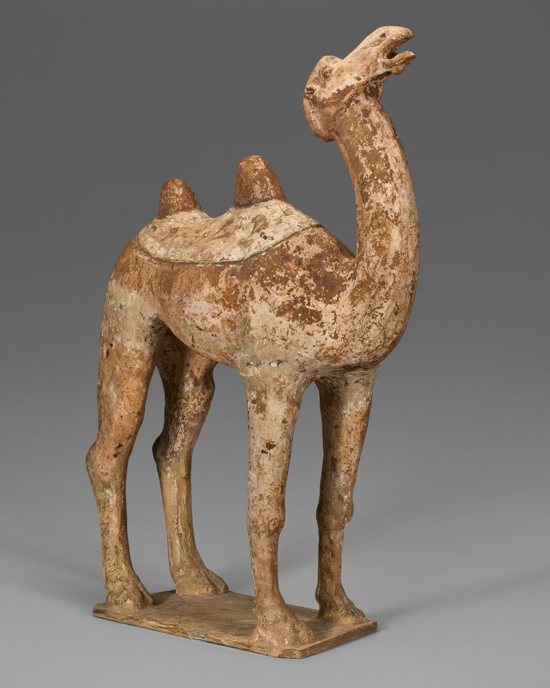 中國 唐 彩繪陶駱駝  CHINA, TANG DYNASTY (AD 618-907) - 图2