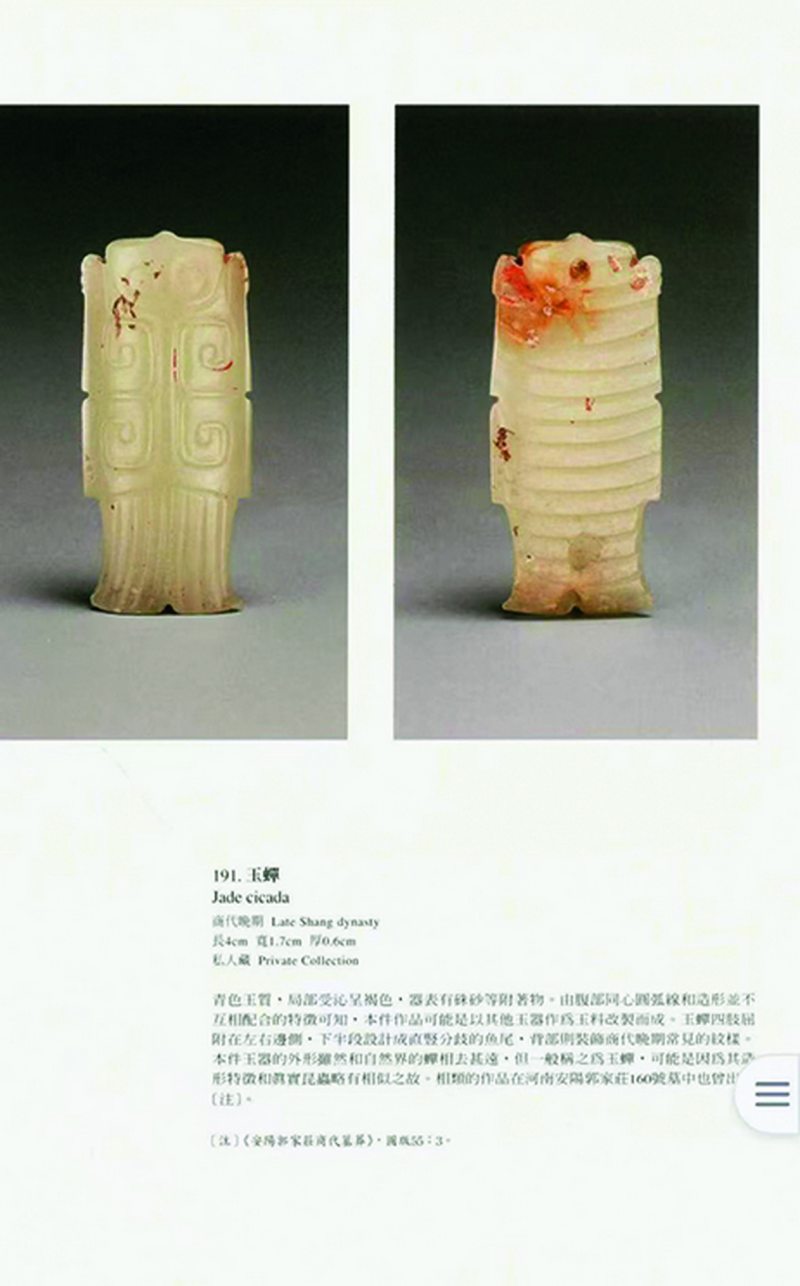 明 阳线白玉蝉 - 图9