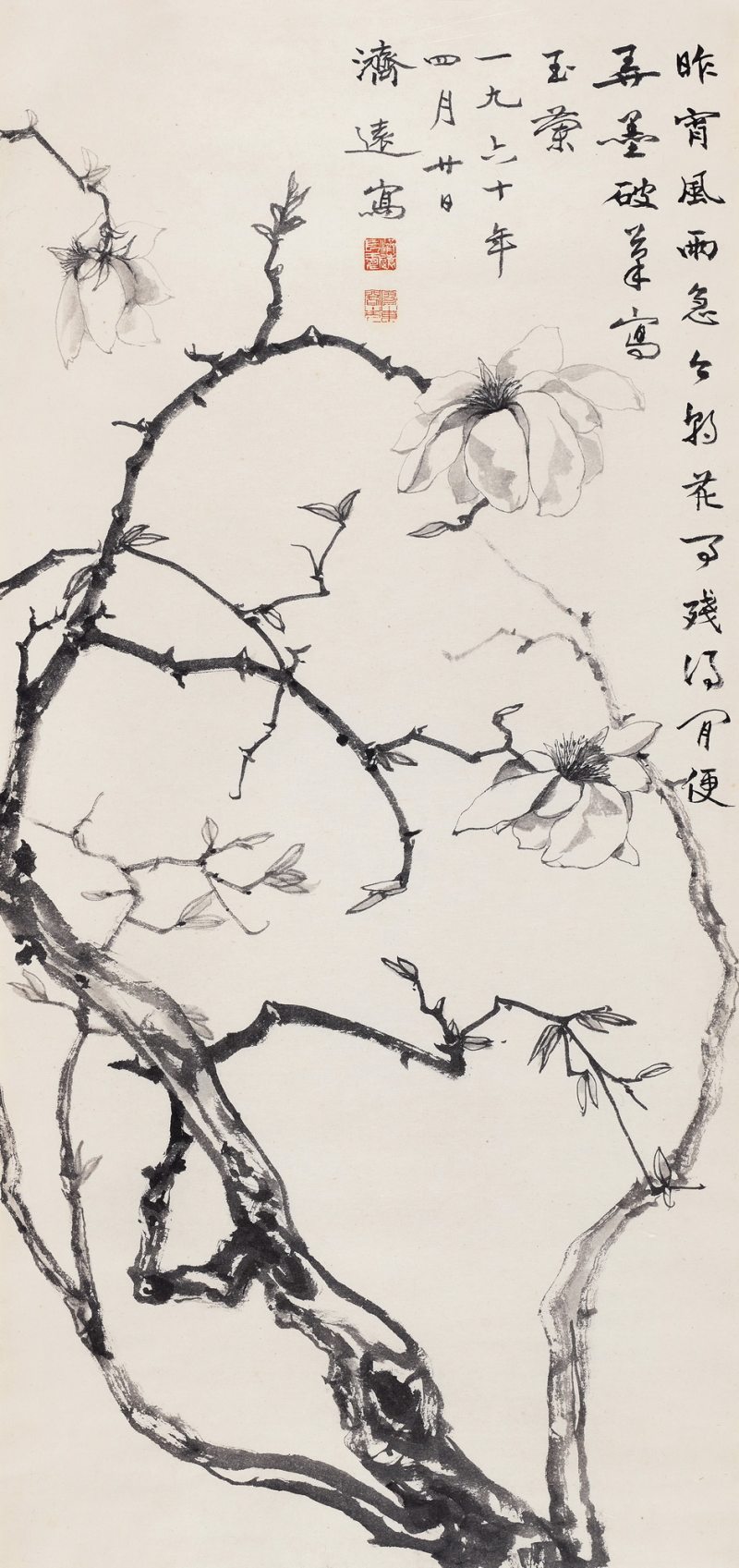 1960年作 玉兰图