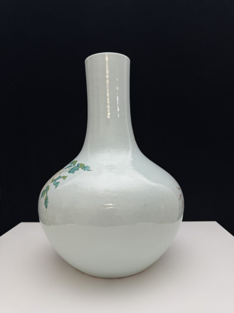 清光绪 粉彩花鸟纹天球瓶 - 图7