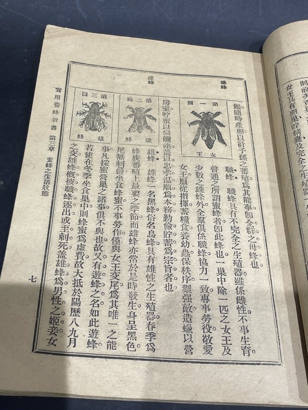 老书一本 - 图4