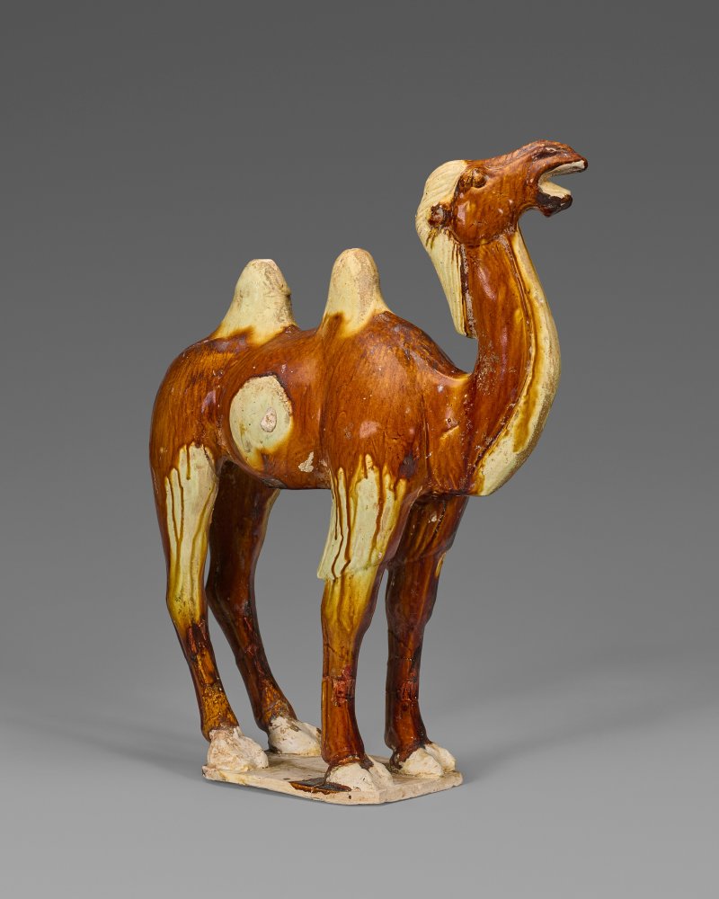 中國 唐 赭釉駱駝  CHINA, TANG DYNASTY (AD 618-907)