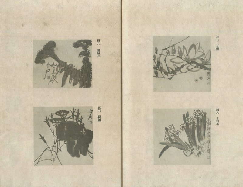 花鸟水族（四帧） - 图3