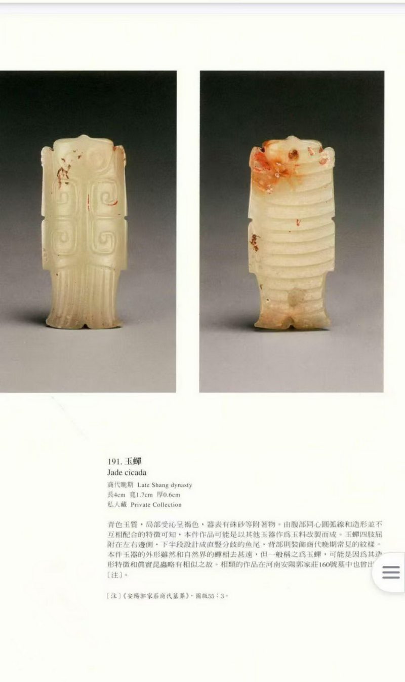 明 阳线白玉蝉 - 图8